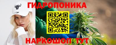 соль ск Камышлов