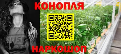 гашик Кандалакша