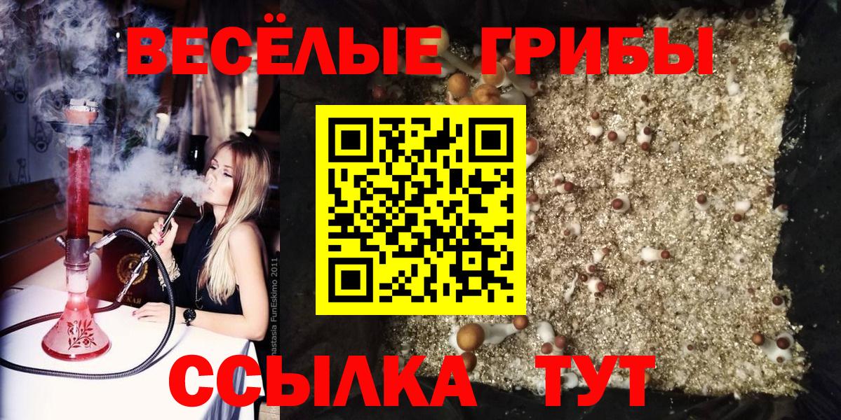 Галлюциногенные грибы Magic Shrooms  где найти   Бутурлиновка  Вход с VPN 